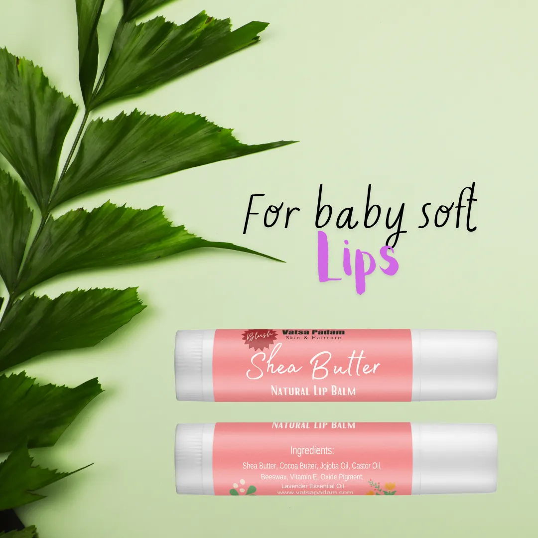 Blush Shea Butter Natural Lip Balm