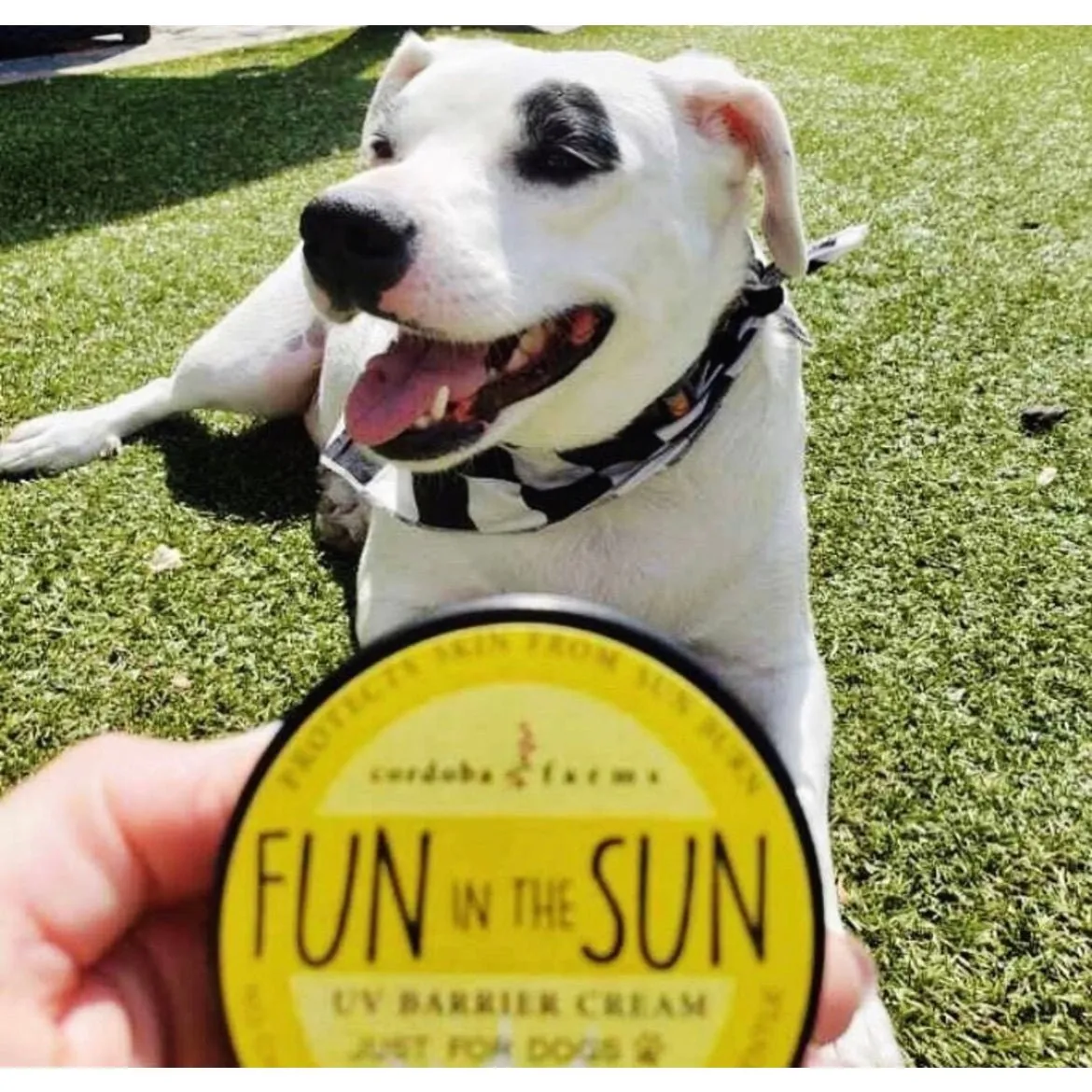 Cordoba Farms Fun in the Sun UV Barrier Cream